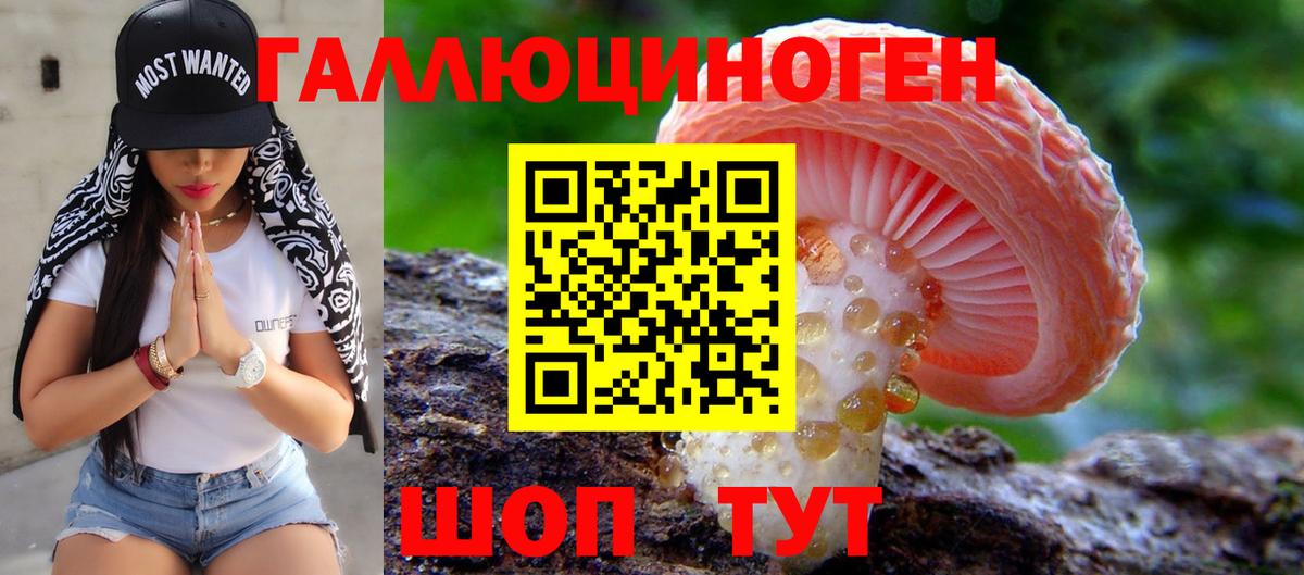 Псилоцибиновые грибы Psilocybine cubensis  Вход с VPN  купить  цена  Богородск 