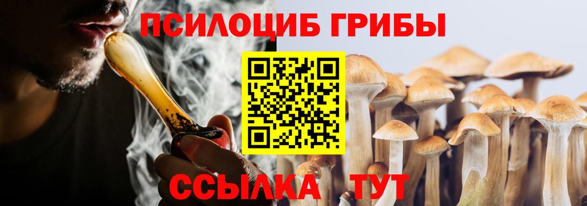 Галлюциногенные грибы Psilocybine cubensis Богородск